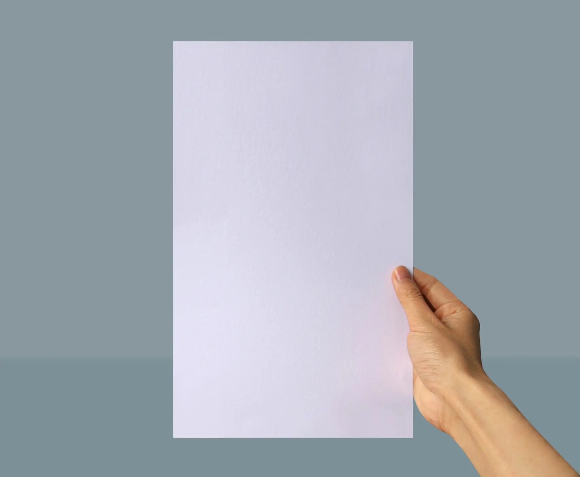 Legal Printing and Copying