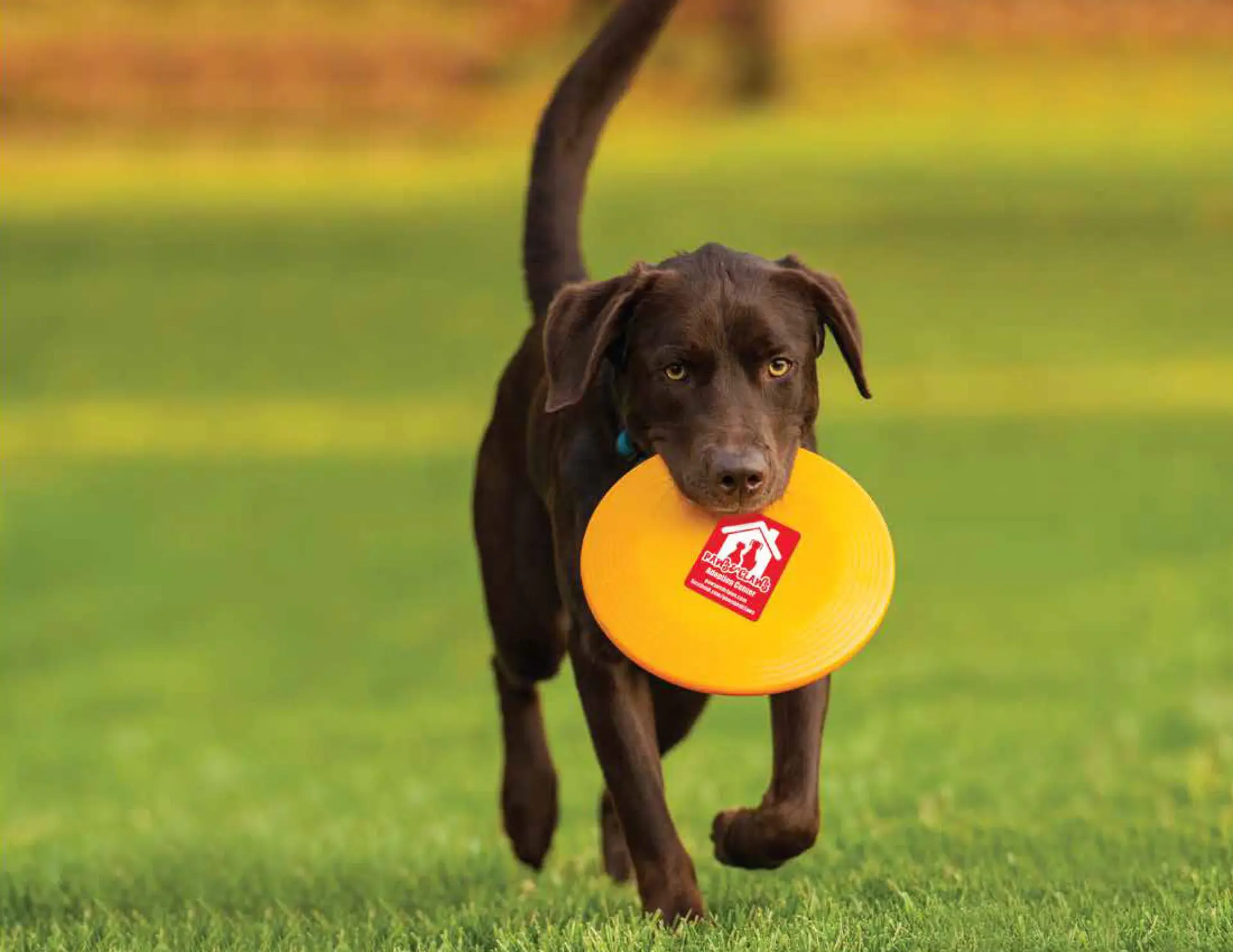 custom printing labels